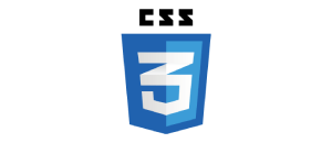 css3